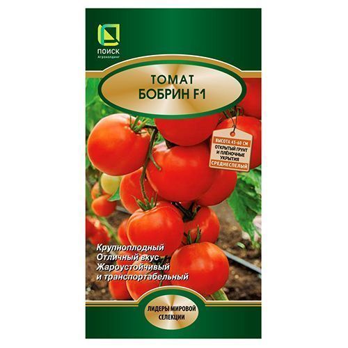 ������ ������ ����� ������ F1 �����   ����