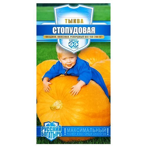 ������ ������ ����� ���������� ������   ����