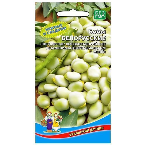 ������ ������ ���� ����������� ��������� ������   ����