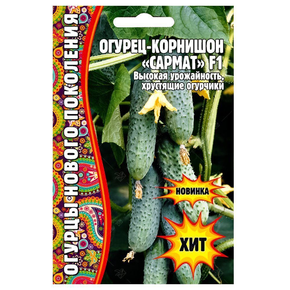 ������ ������ ������ ������ F1 ������ ������   ����