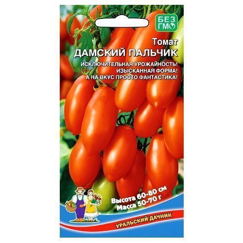 ������ ������ ����� ������� ������� ��������� ������   ����