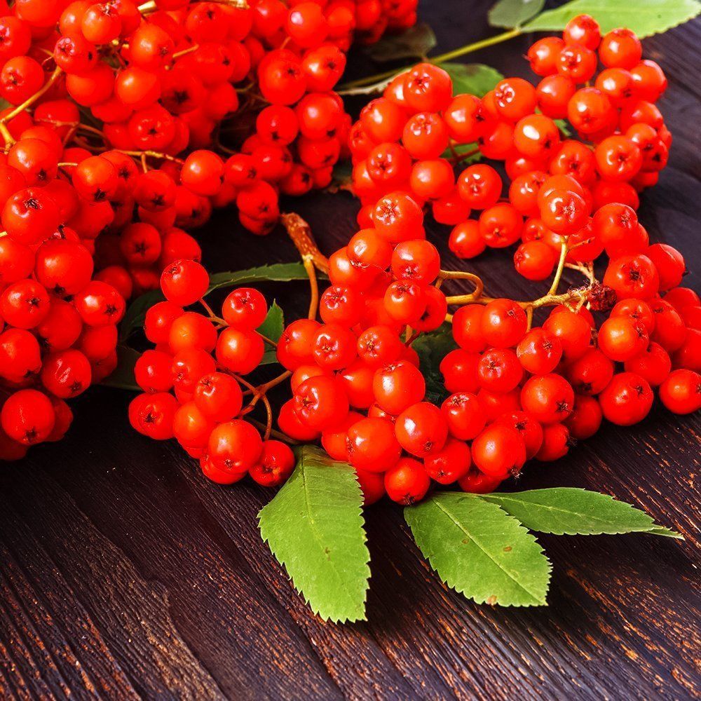 ������ ������ ������ ������� ���� �������   ����