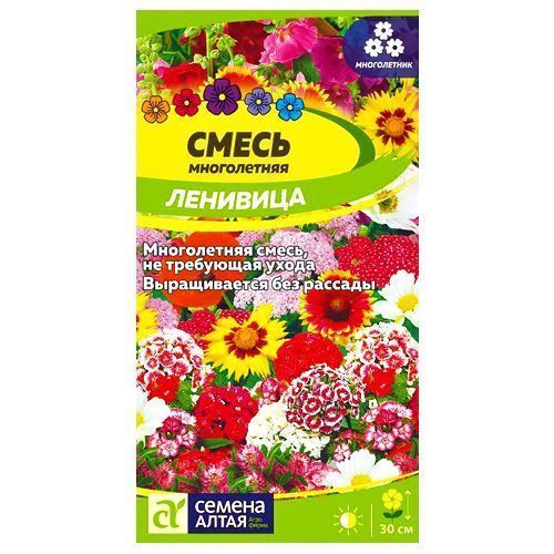 ������ ������ ��������� ����� ��������, ����� ������� ������ �����   ����