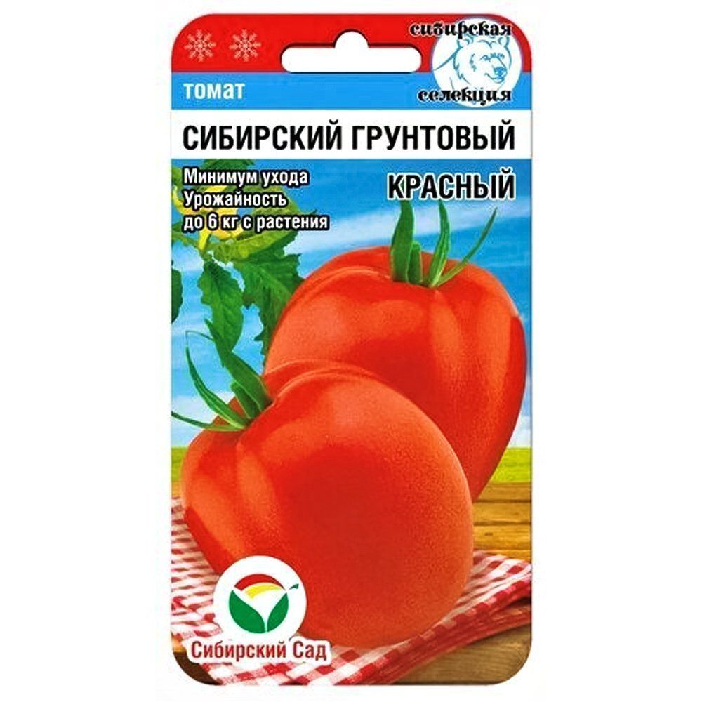 ������ ������ ����� ��������� ��������� ������� ��������� ���   ����