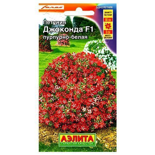 ������ ������ ������� ��������� �������� F1 ��������-����� ������   ����