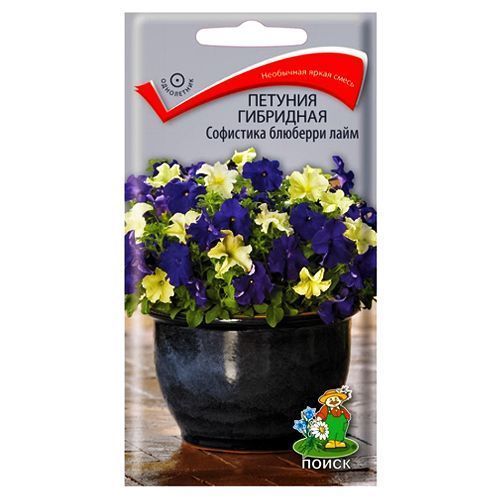 ������ ������ ������� ��������� ��������� �������� ���� �����   ����