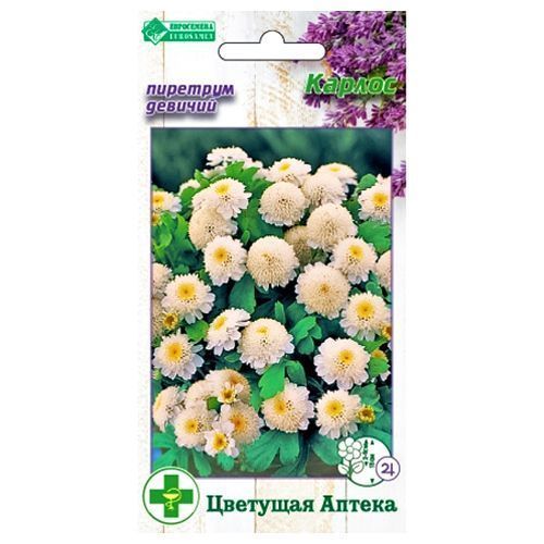 ������ ������ �������� ������� ������ ����������   ����