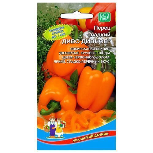 ������ ������ ����� ������� ���� ������ ��������� ������   ����