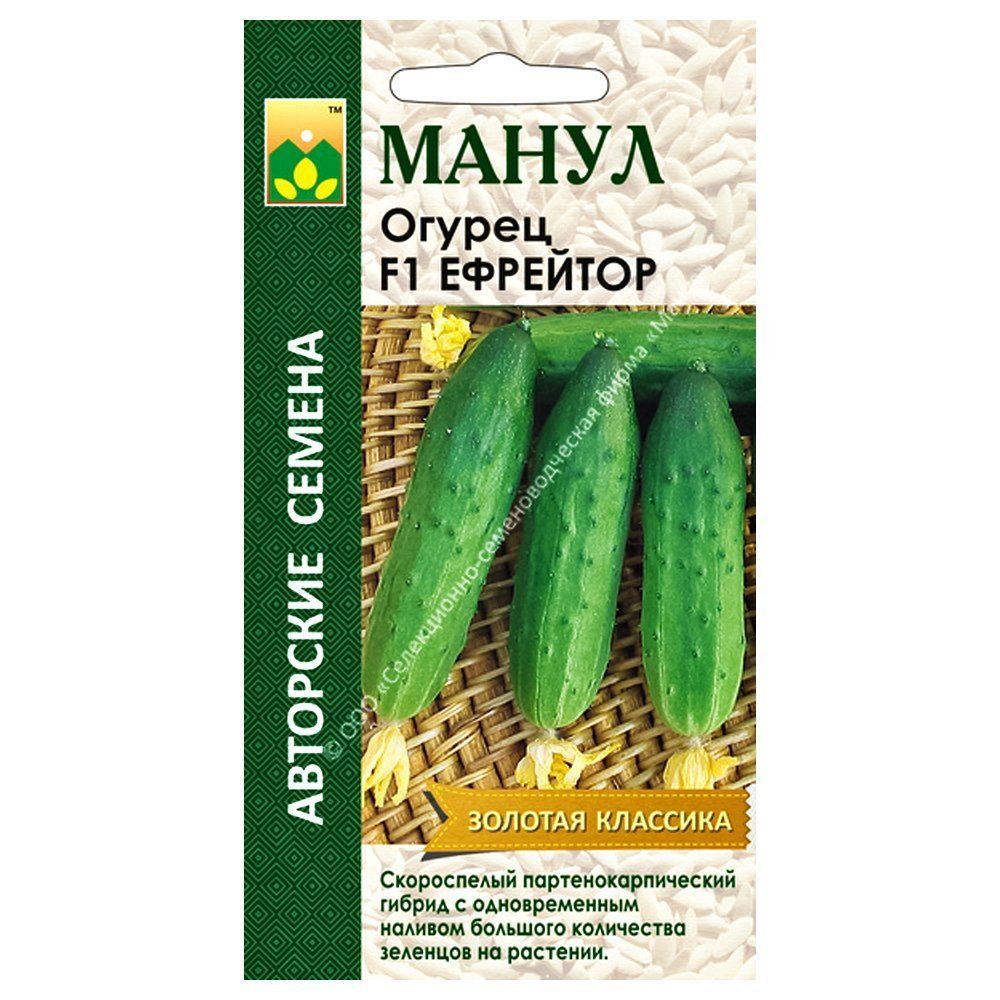 ������ ������ ������ �������� F1 �����   ����