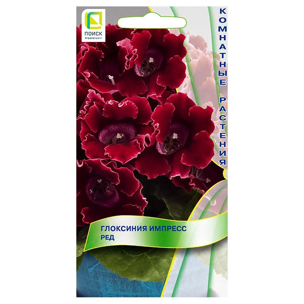 ������ ������ ��������� ������� ��� �����   ����