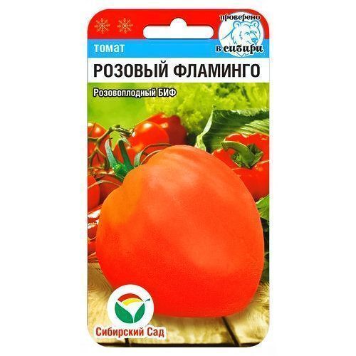 ������ ������ ����� ������� �������� ��������� ���   ����