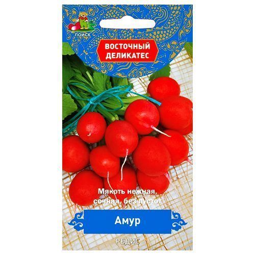 ������ ������ ����� ���� �����   ����