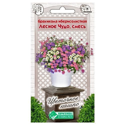 ������ ������ ��������� �������������� ������ ����, ����� ������� ����������   ����