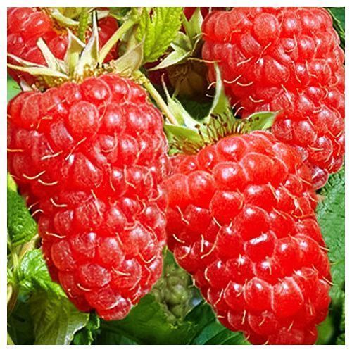 ������ ������ ������ ������������ ������� �������   ����