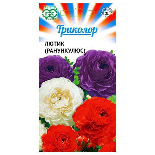 ������ ������ ����� (����������), ����� ������� ������   ����