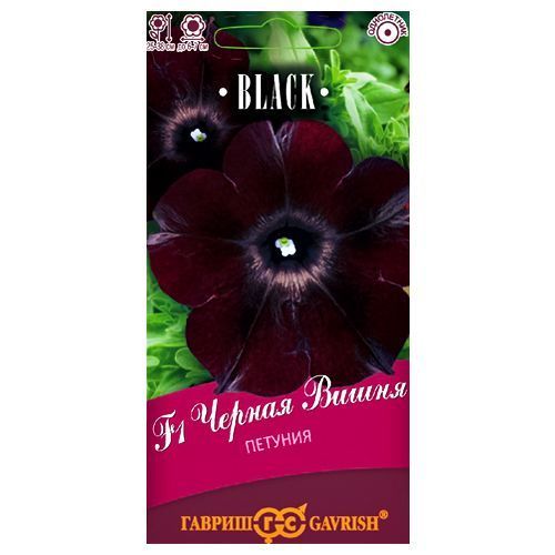 ������ ������ ������� �������������� ������ ����� F1 ������   ����