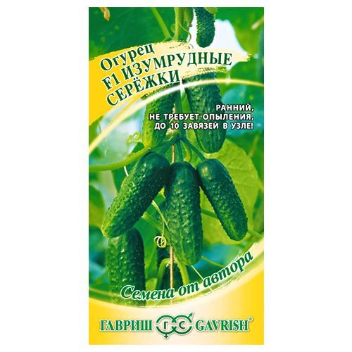 ������ ������ ������ �������� ���������� ������� F1 ������   ����