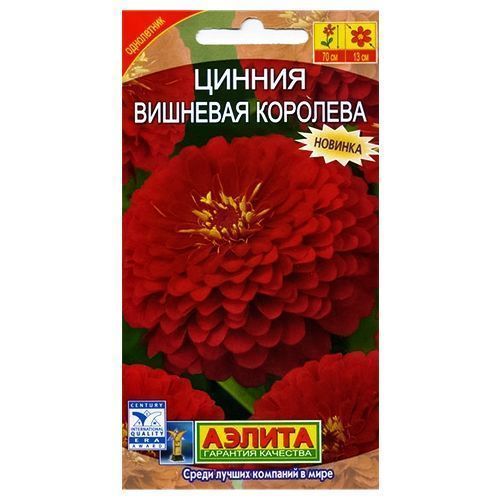 ������ ������ ������ �������� �������� ������   ����