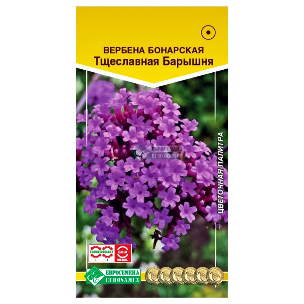 ������ ������ ������� ���������� ������� ����������   ����