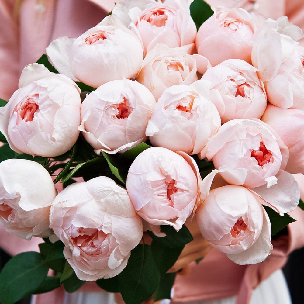 ������ ������ ���� ���������� ����� ����   ����