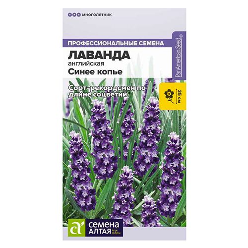 ������ ������ ������� ���������� ����� ����� ������ �����   ����