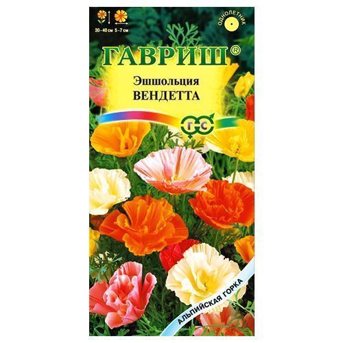 ������ ������ ��������� ��������, ����� ������� ������   ����