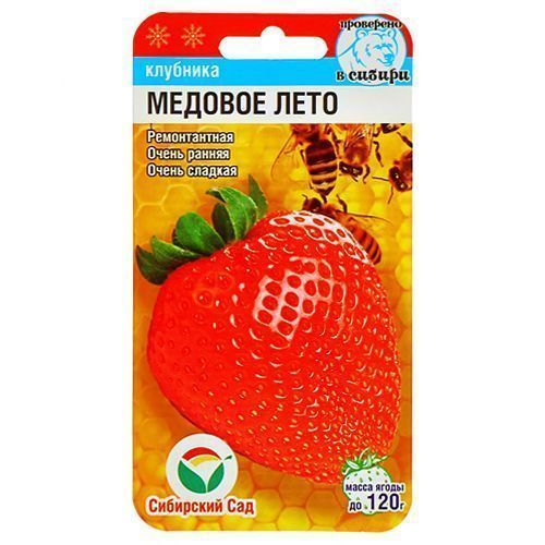 ������ ������ ��������� ������������� ������� ����, ������ ��������� ���   ����