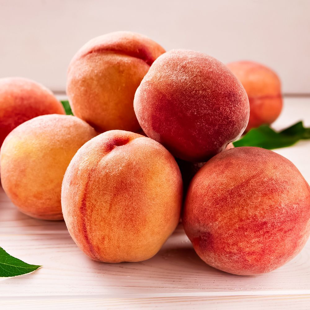 ������ ������ ������ ��� ������ �������� ������� ������   ����