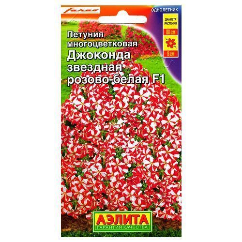 ������ ������ ������� ��������� �������� F1 �������� ������-����� ������   ����