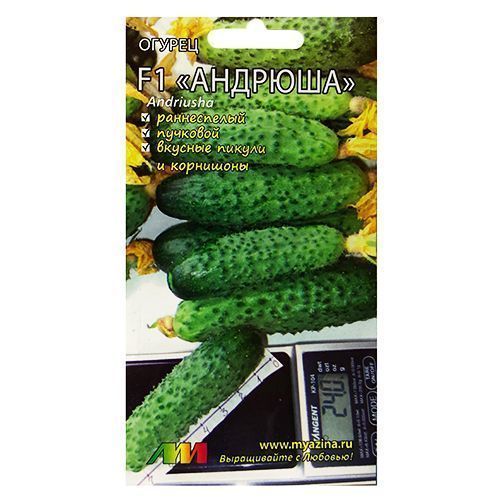 ������ ������ ������ ������� F1 ����������� ������ �.�.   ����