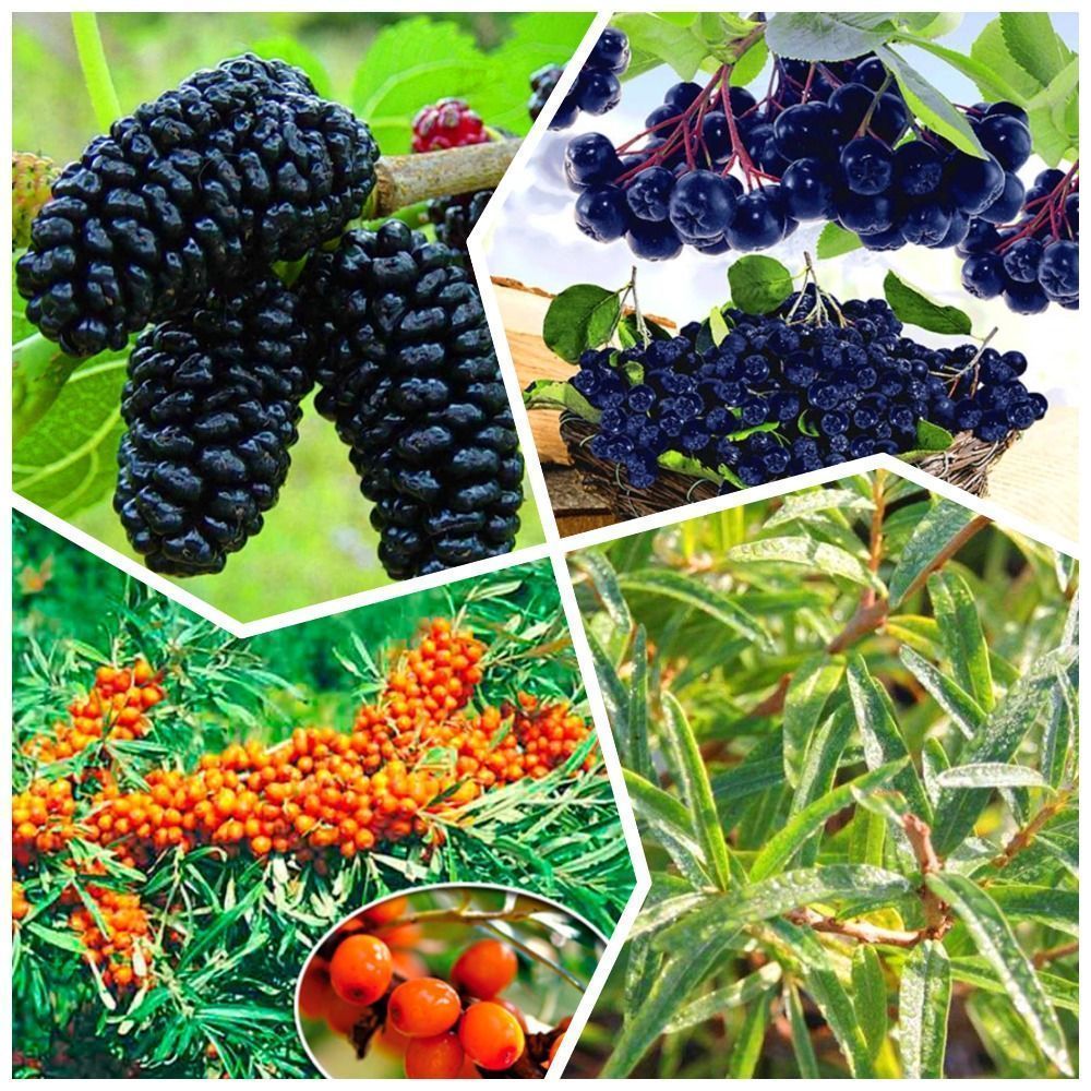 ������ ������ �����������! �������� �������� ������� ������� 