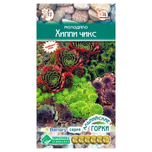 ������ ������ �������� ����� ����, ����� ������� ����������   ����