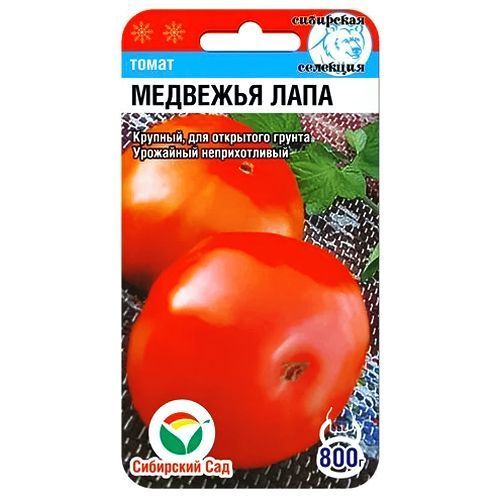 ������ ������ ����� �������� ���� ��������� ���   ����