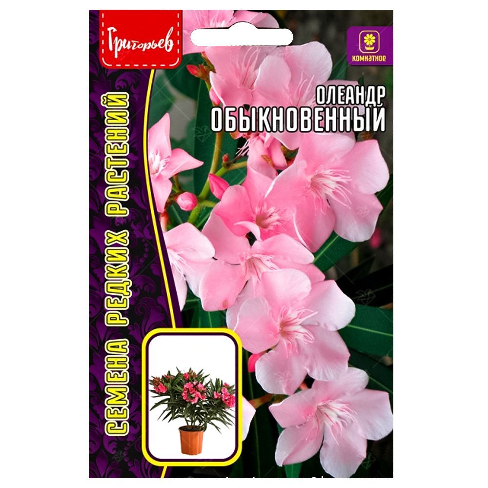 ������ ������ ������� ������������ ������ ������   ����