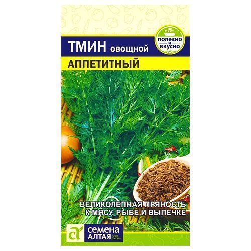 ������ ������ ���� ���������� ������ �����   ����