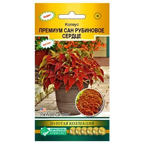 ������ ������ ������ ������� ��� ��������� ������ ����������   ����