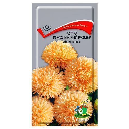 ������ ������ ����� ����������� ������ ����������� �����   ����