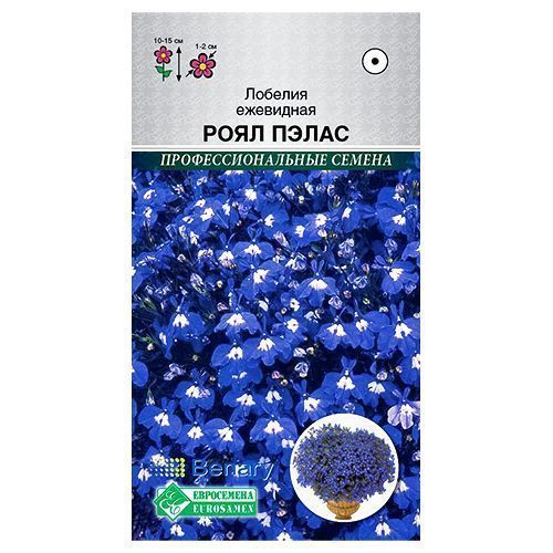 ������ ������ ������� ��������� ���� ����� ����������   ����