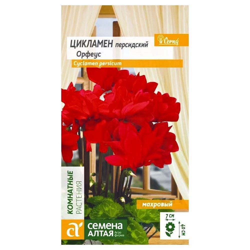 ������ ������ �������� �������� ������ ������ �����   ����