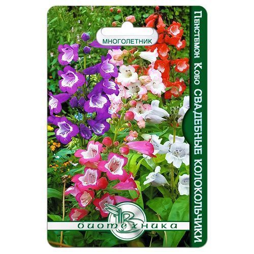 ������ ������ ��������� ���� ��������� ������������, ����� ������� ����������   ����