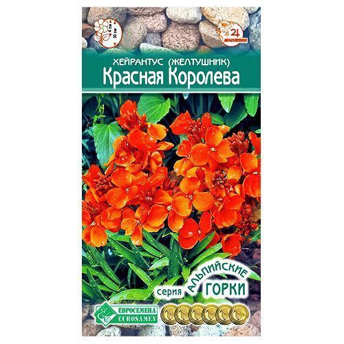 ������ ������ ��������� (���������) ������� �������� ����������   ����