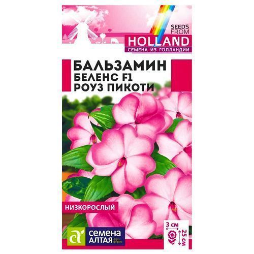 ������ ������ ��������� ������ F1 ���� ������ ������ �����   ����