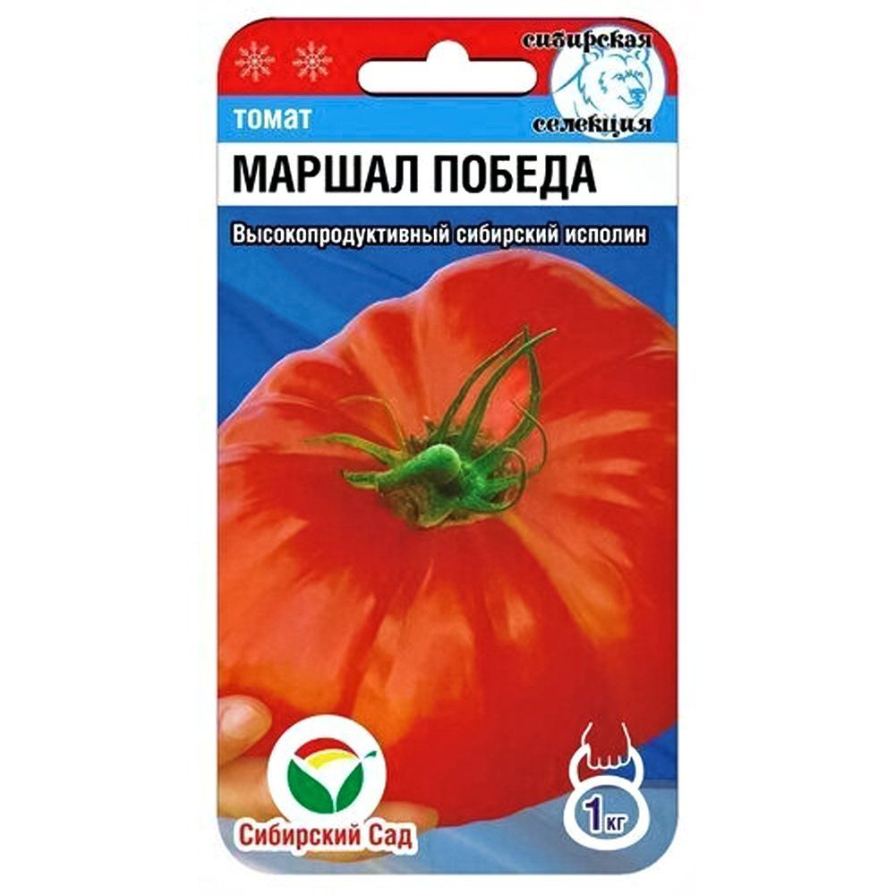 ������ ������ ����� ������ ������ ��������� ���   ����