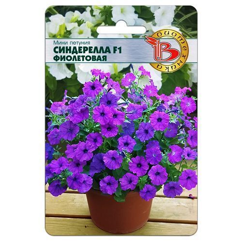 ������ ������ ������� ���� ���������� F1 ���������� ����������   ����