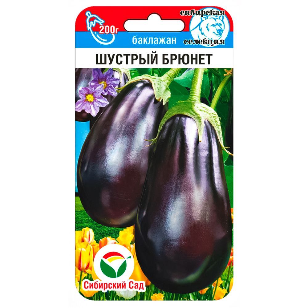 ������ ������ �������� ������� ������ ��������� ���   ����