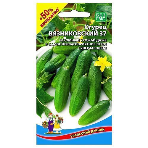 ������ ������ ������ ������������ 37 ��������� ������   ����