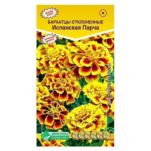 ������ ������ �������� ����������� ��������� ����� ����������   ����