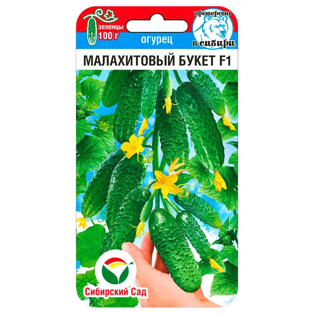 ������ ������ ������ ����������� ����� F1 ��������� ���   ����