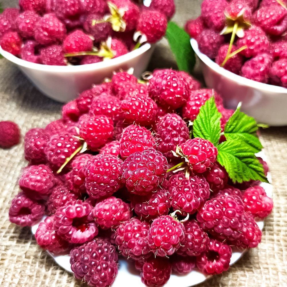 ������ ������ ������ ������������ ���������������� ��������   ����