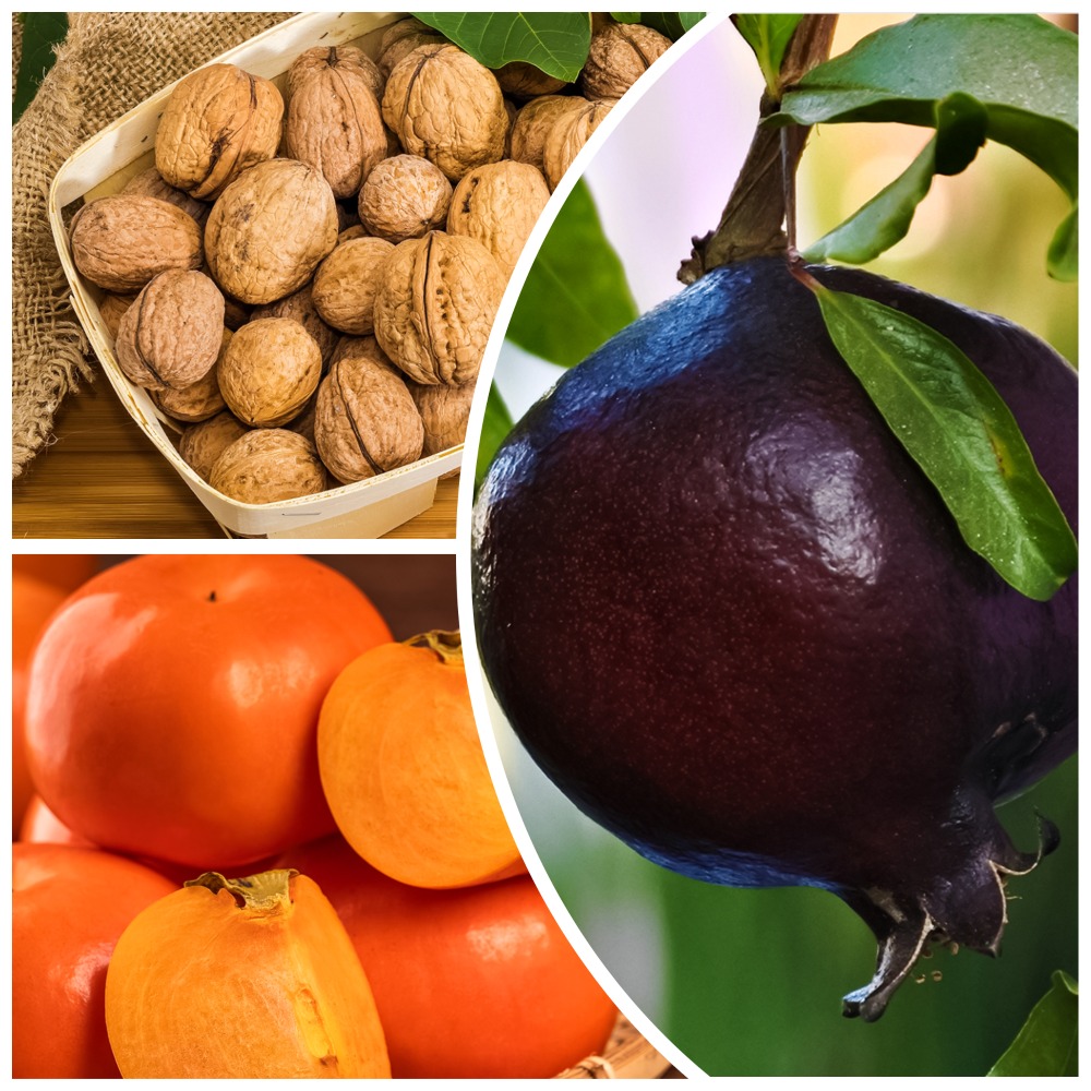 ������ ������ �����������! �������� ��������� ���������� �������� 